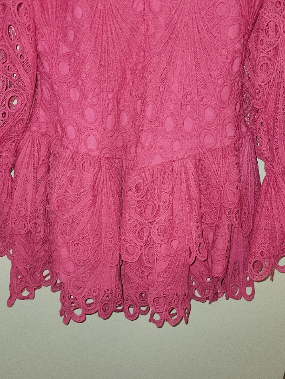 Hot Pink Lace Ruffled Mini Dress - Picture 6 of 11
